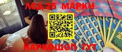 mdpv Кимры