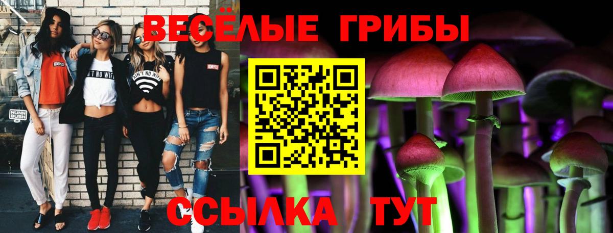 Галлюциногенные грибы Cubensis Красный Сулин
